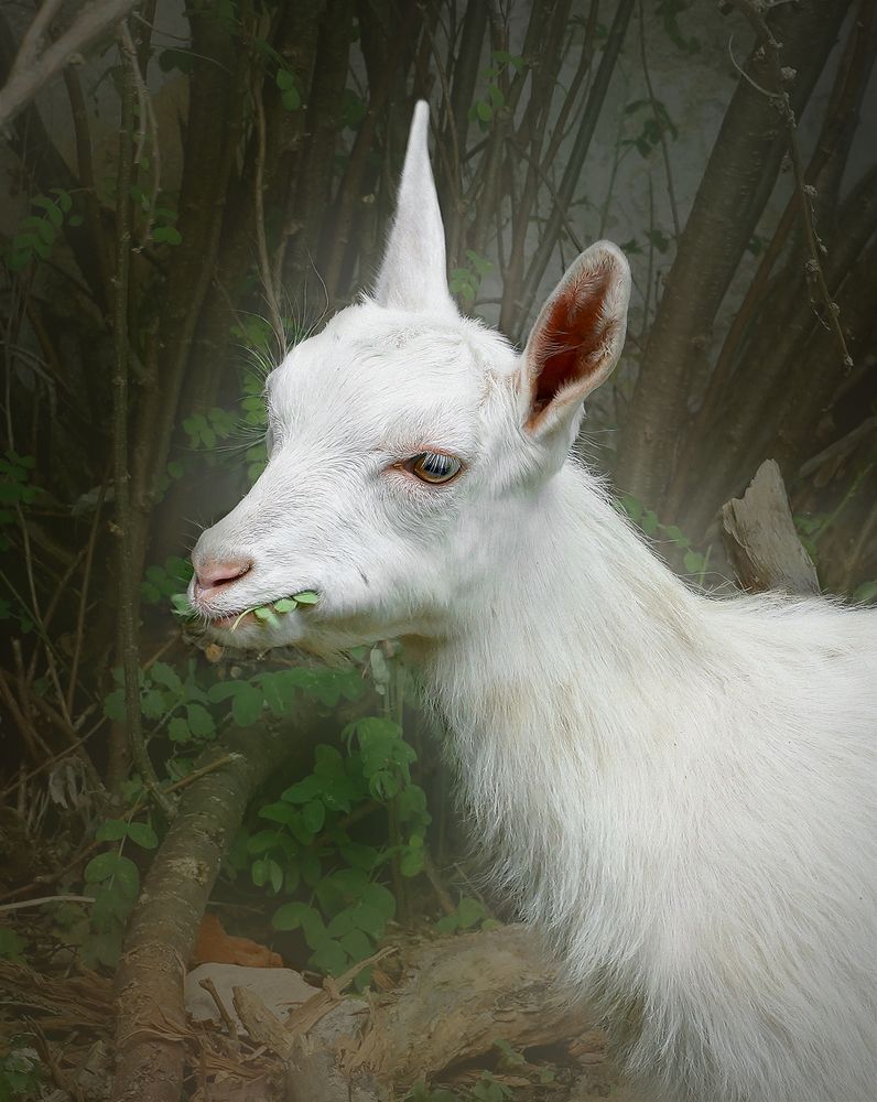 Photograph by Анатолий Максимов