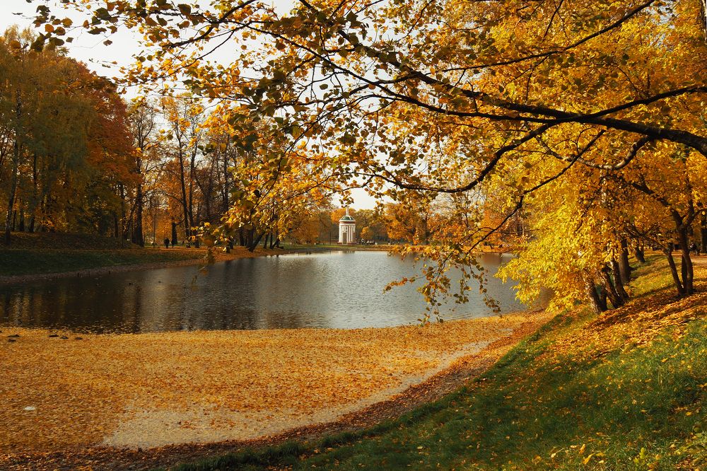 Золотая осень в усадьбе Михалково