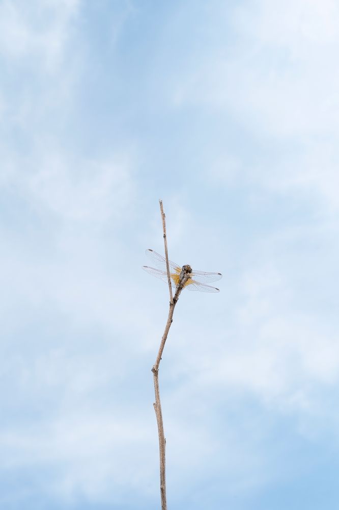 Photograph by Екатерина Золотых