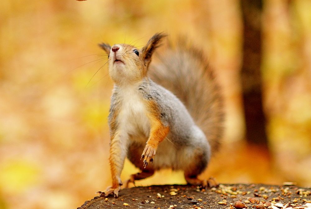 Photograph by Алексей Козлов