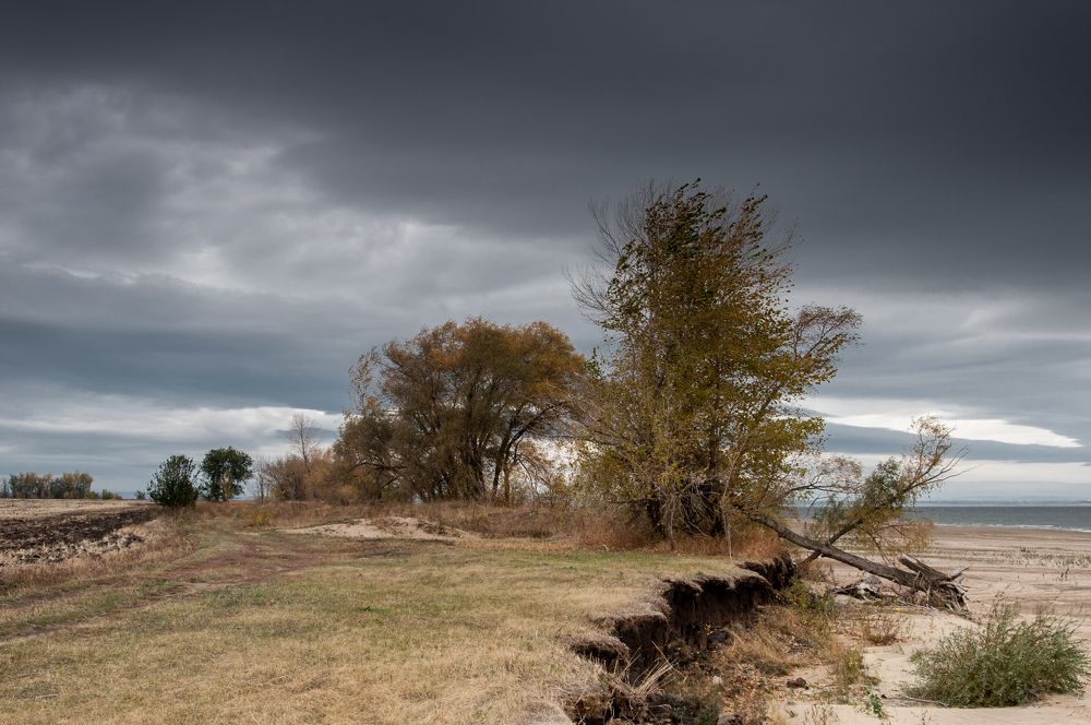 Photograph by Новиков Владимир