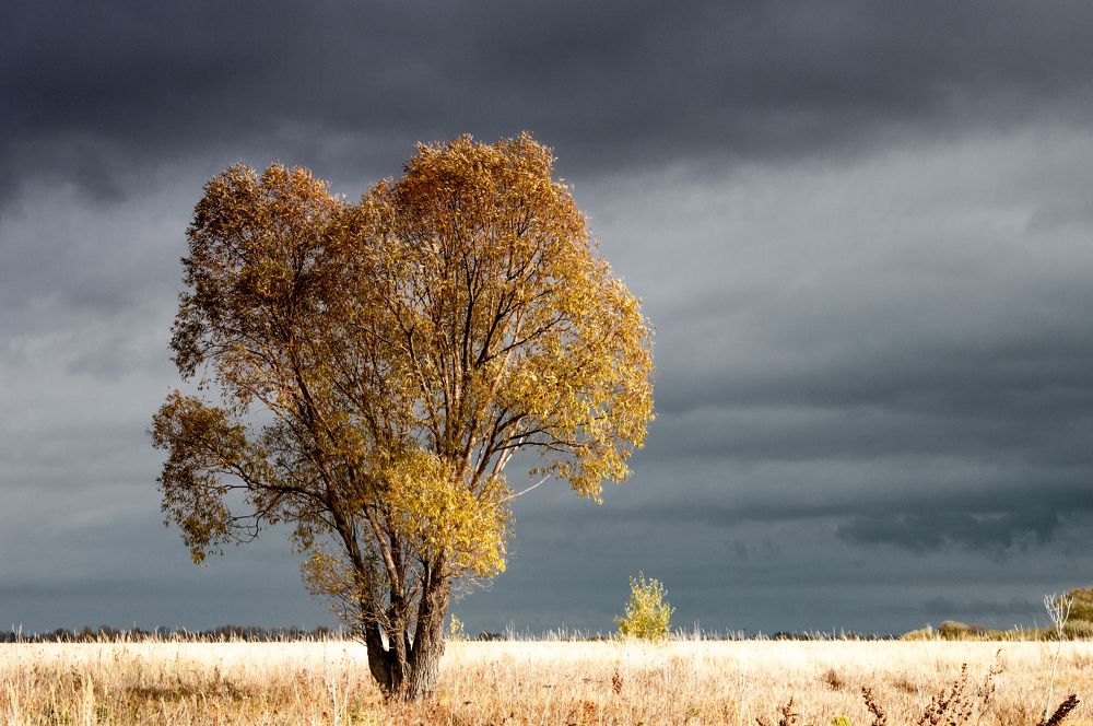 Photograph by Новиков Владимир