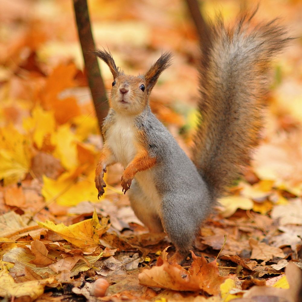 Photograph by Алексей Козлов