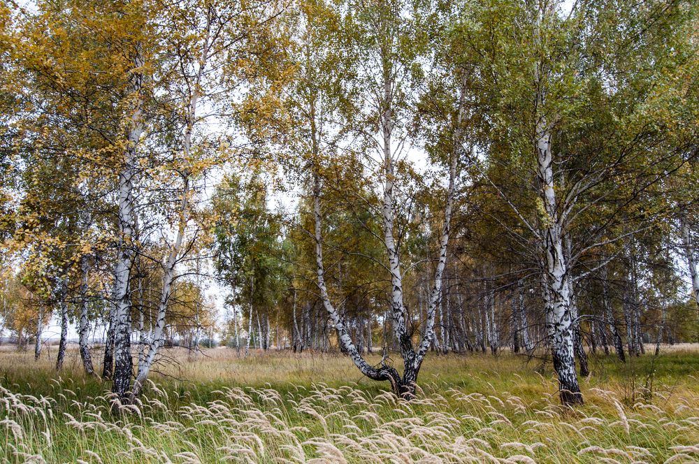 Photograph by Новиков Владимир