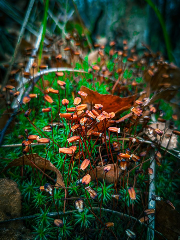Фотография автора Александр Хухлов