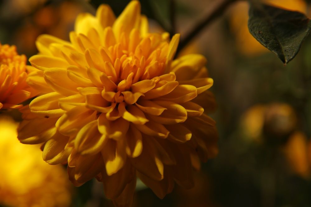 Photograph by Влад Барышов