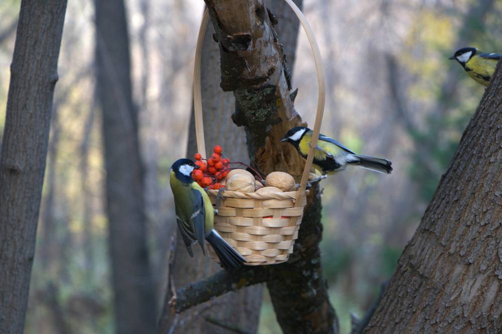 Photograph by Ирина Вассерлауф