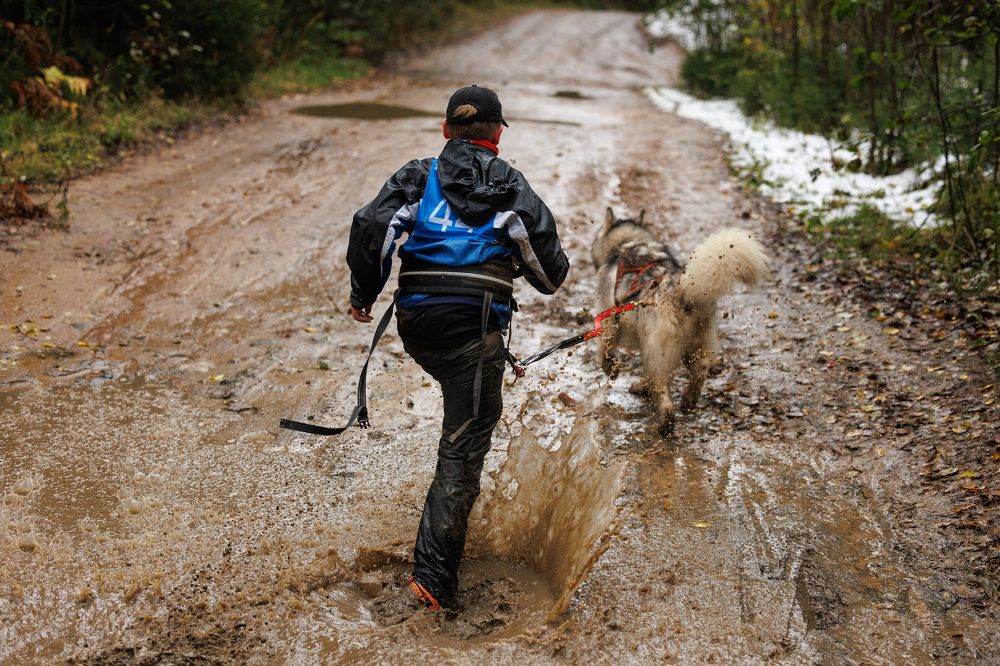 Фотография автора Илья Юфа
