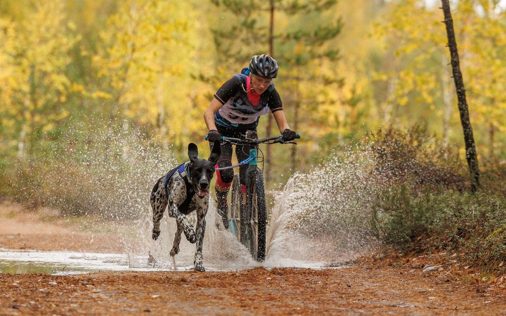 Photograph by Илья Юфа