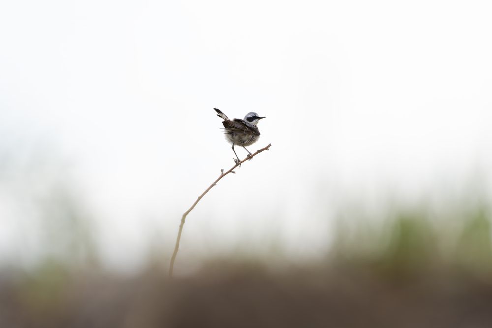 Photograph by Александр Перегудов