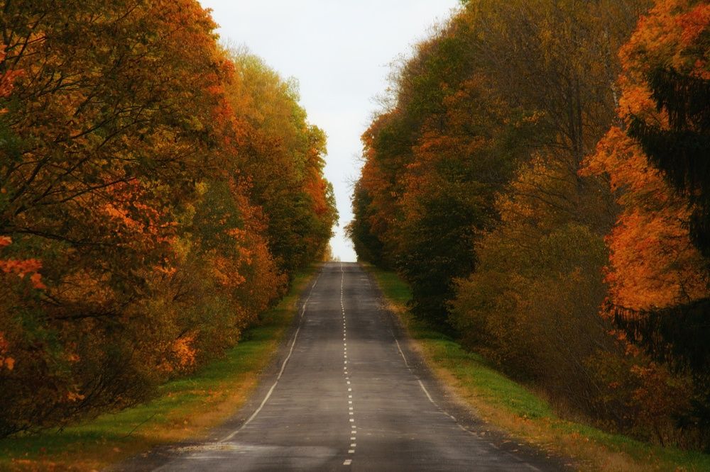 Photograph by Сергей Симаков