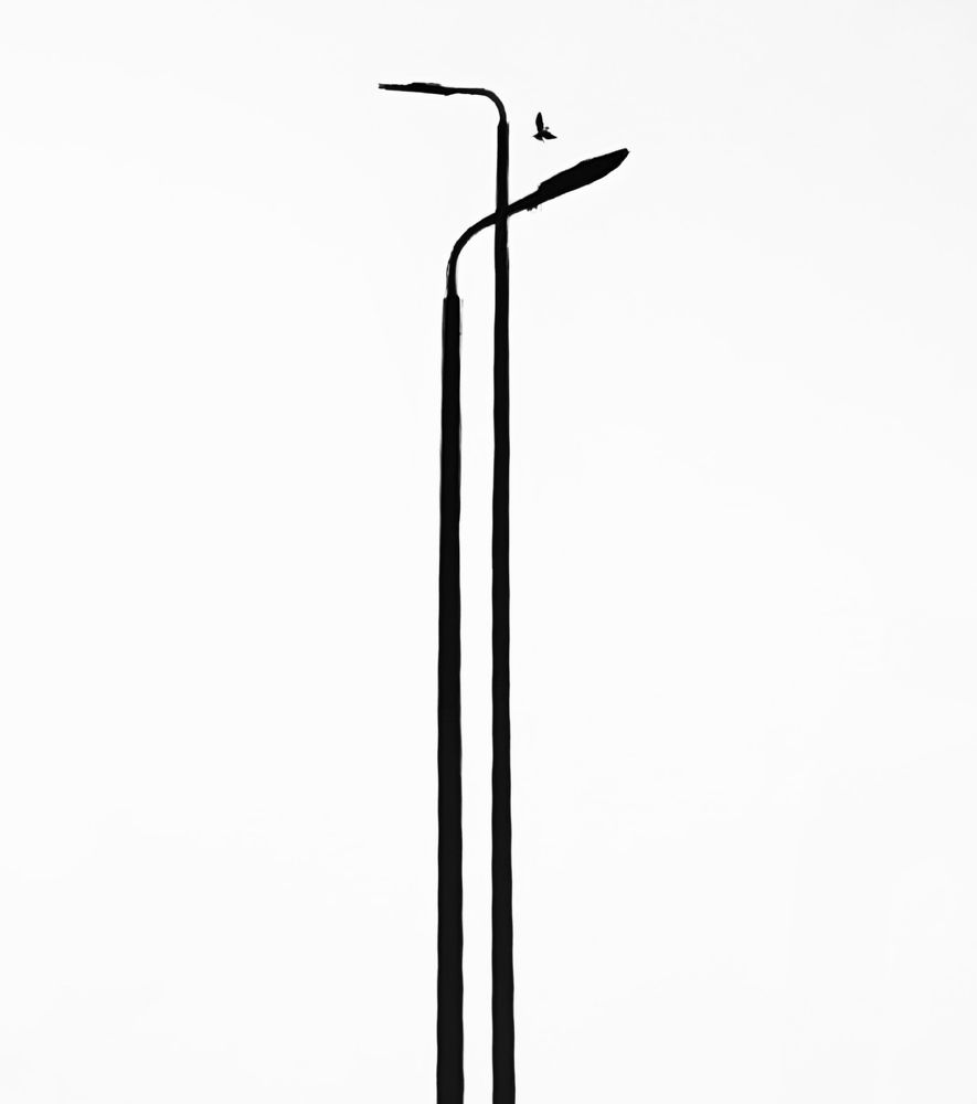 Photograph by Adel Sami