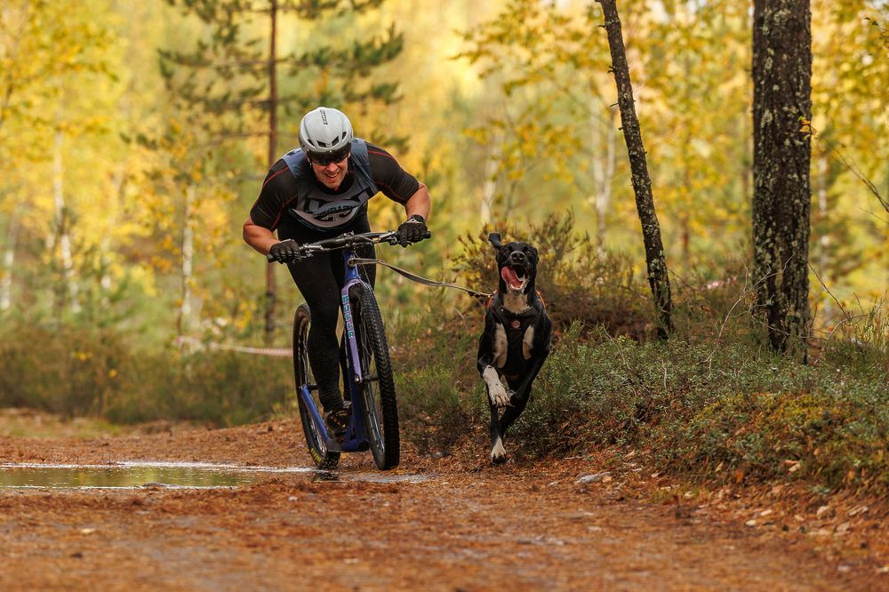 Photograph by Илья Юфа