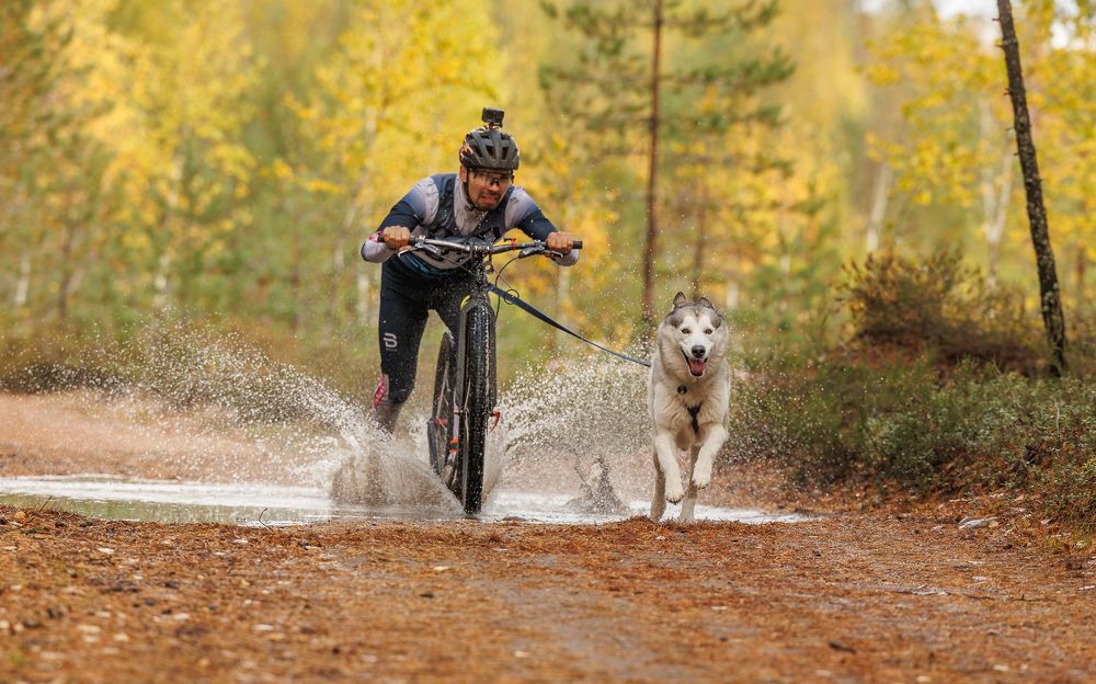 Photograph by Илья Юфа