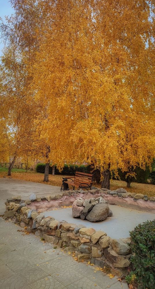 Фотография автора Анастасия Мамаева