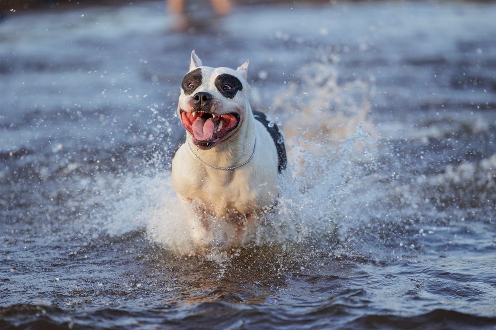 Photograph by Илья Юфа