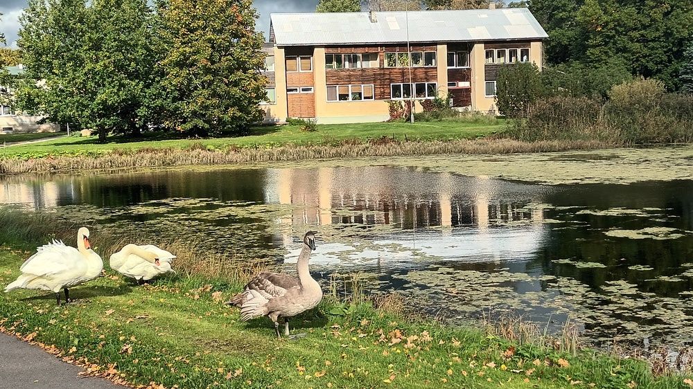 Скоро предстоит перелет......