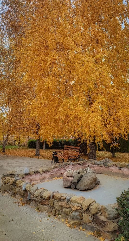 Фотография автора Анастасия Мамаева