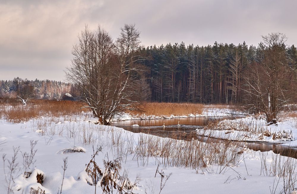 Photograph by Aleksandras Meisutovicius