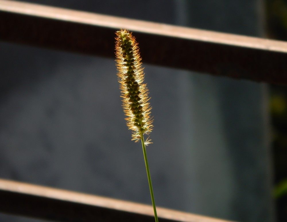 Photograph by Ирина Самойленко