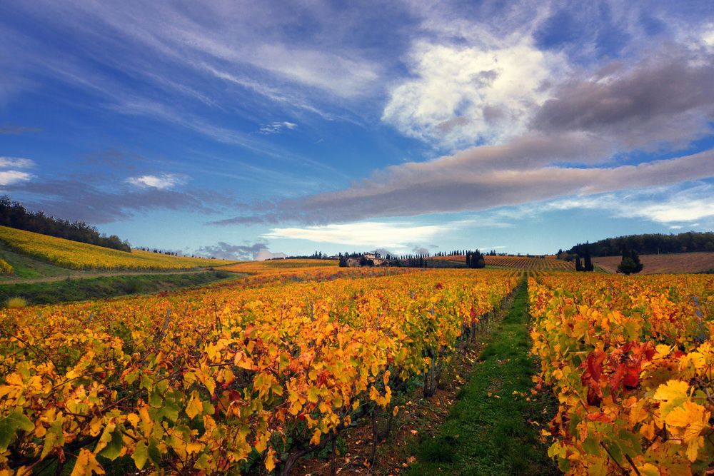 Photograph by Paolo Mola