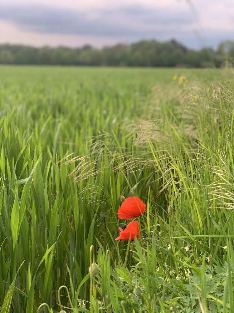 Photograph by Анастасия Мангольд