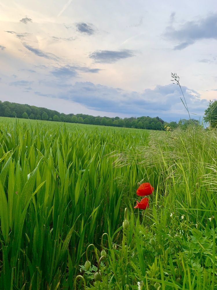 Photograph by Анастасия Мангольд