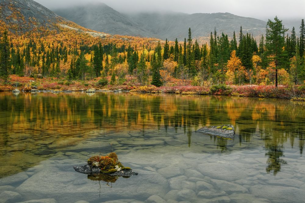 Photograph by Владимир Колесников