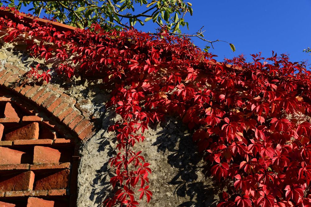 Photograph by Paolo Mola