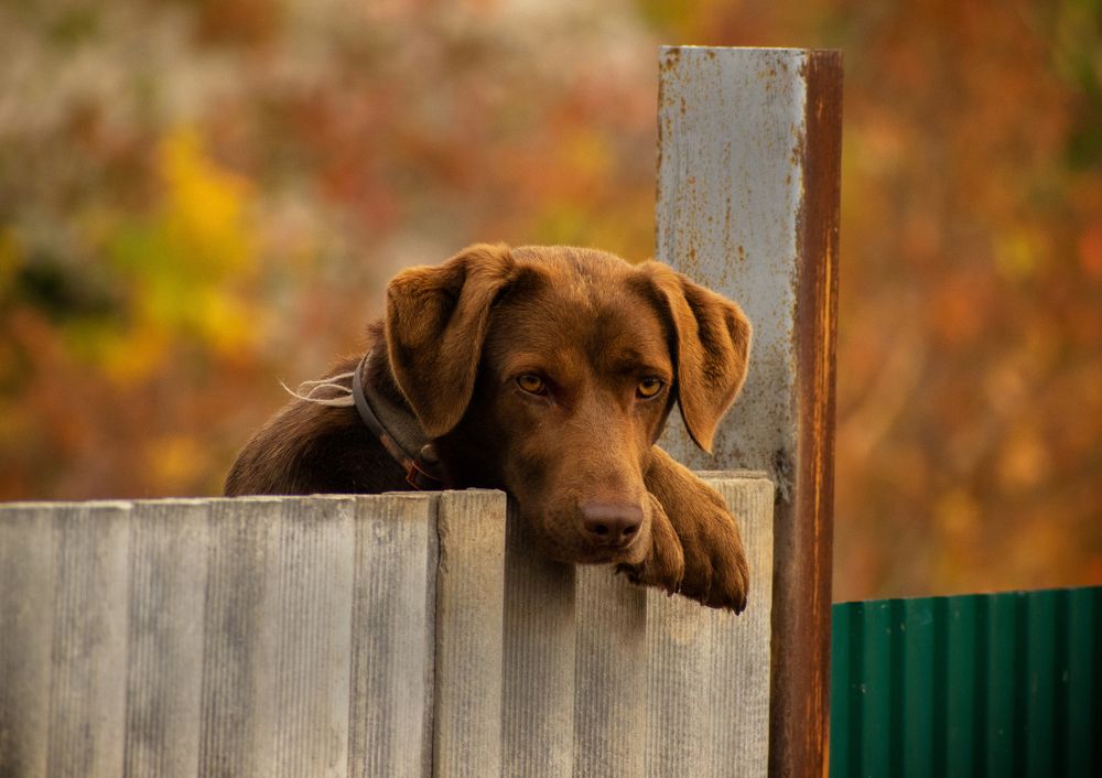 Photograph by Анна Бокова