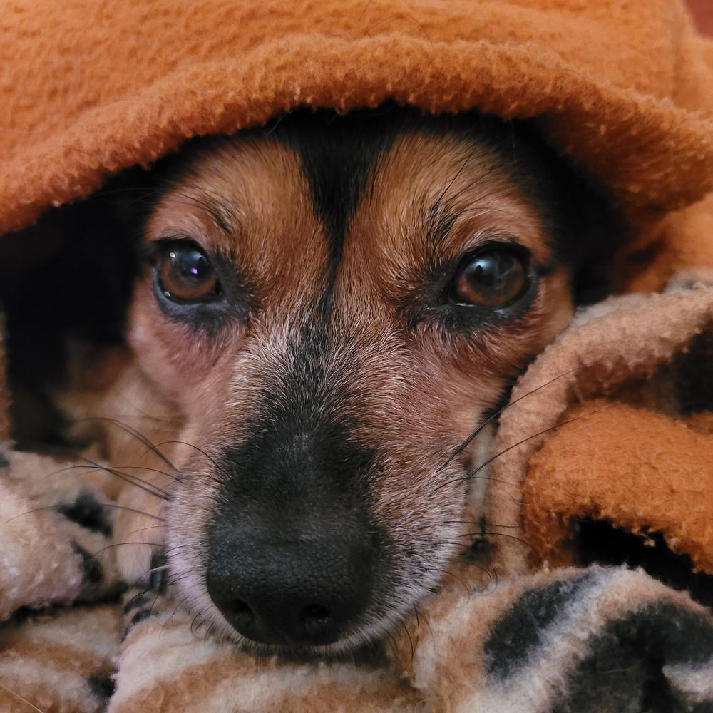 Photograph by Catherine