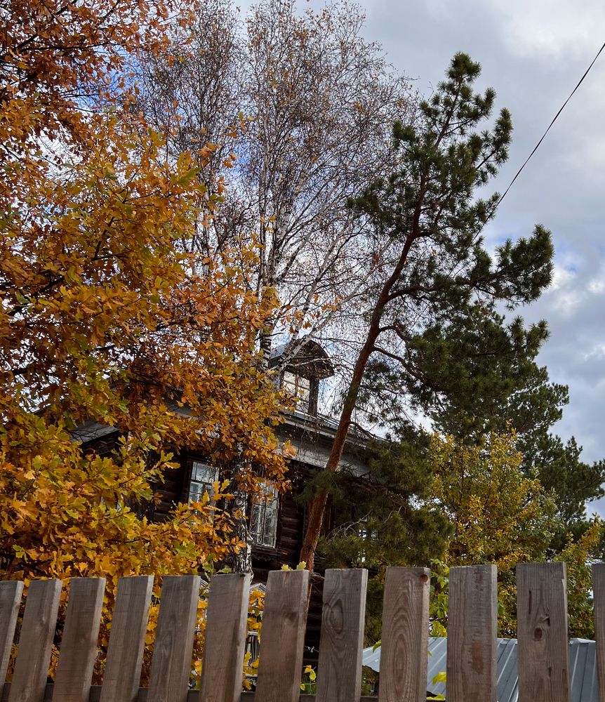 Photograph by Елена Лобакова