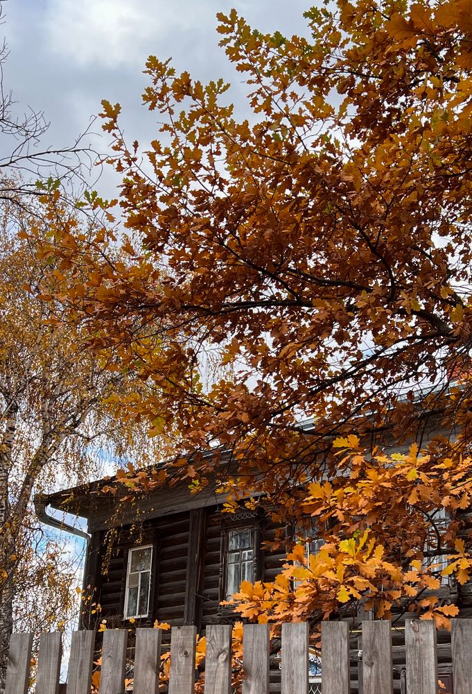 Photograph by Елена Лобакова