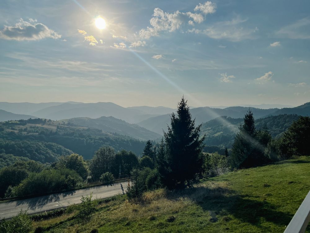 Photograph by Мария Савельева