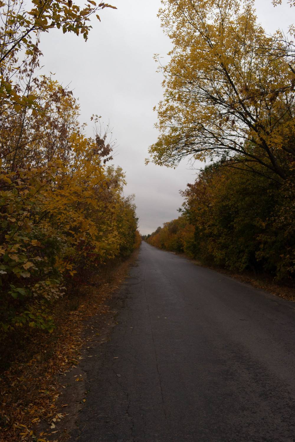 Photo #9687018