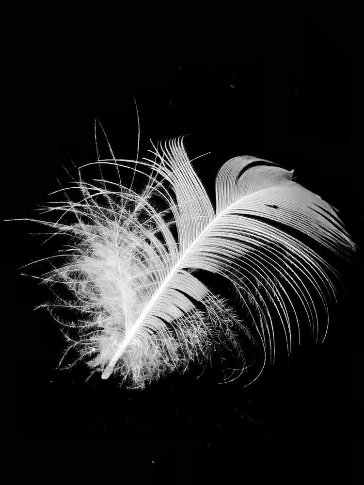 Photograph by Halina Mitsevich