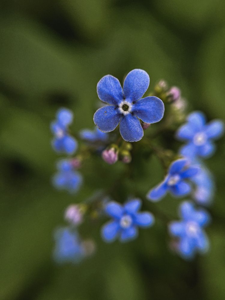 Фотография автора Светлана Сергеевна