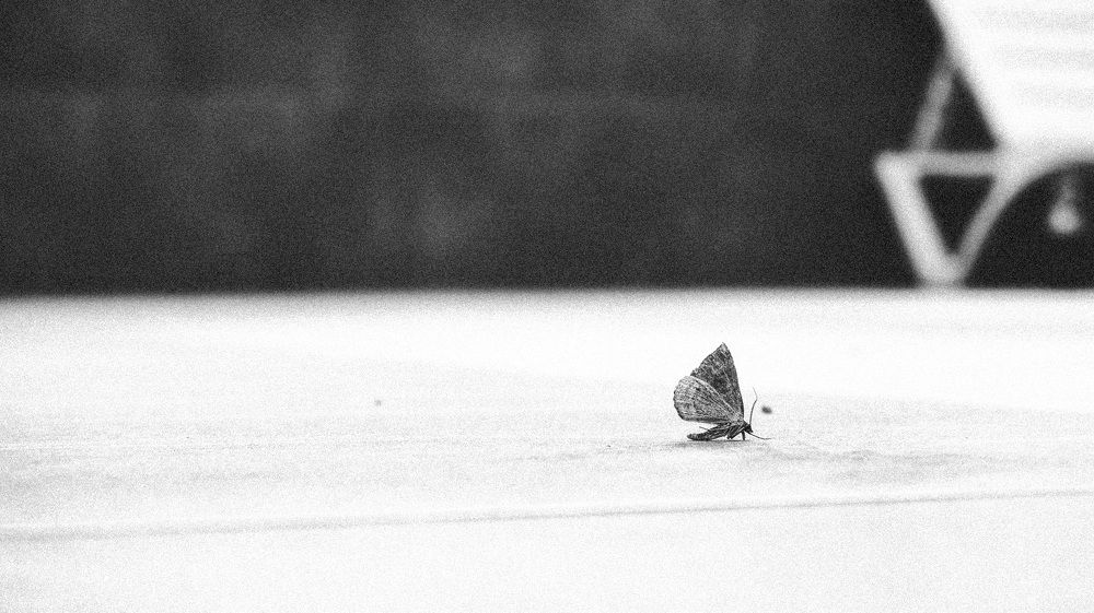 Photograph by Светлана Иванова