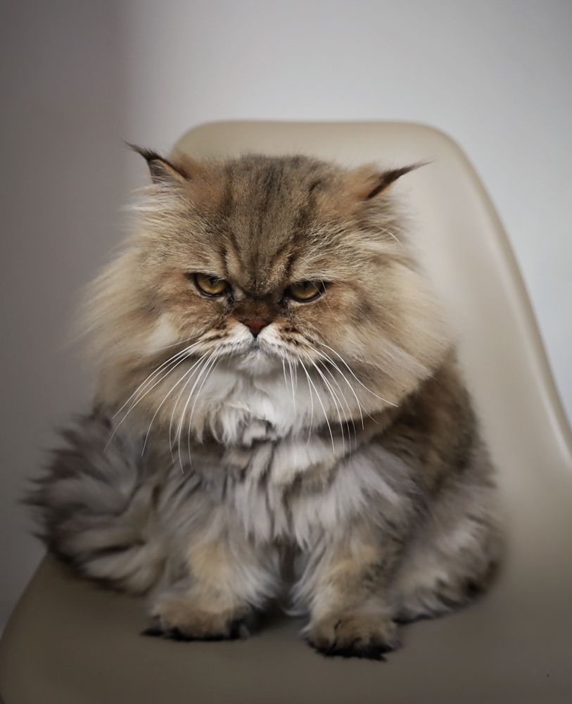 Photograph by Кира Бахвалова