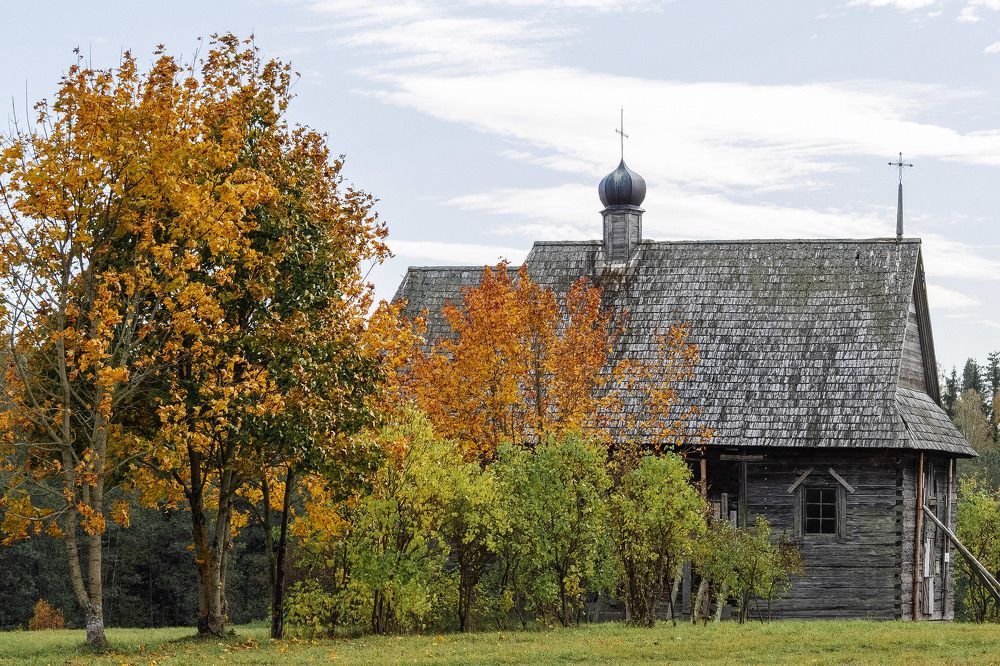 Фотография автора Ольга Никанович