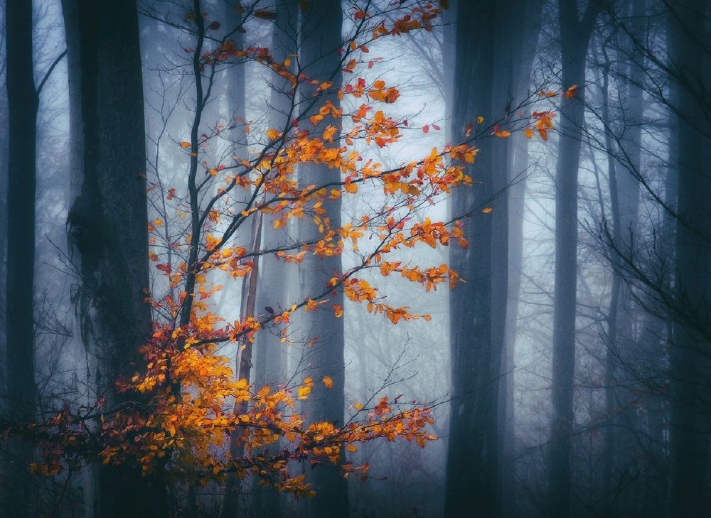 Photograph by Владимир