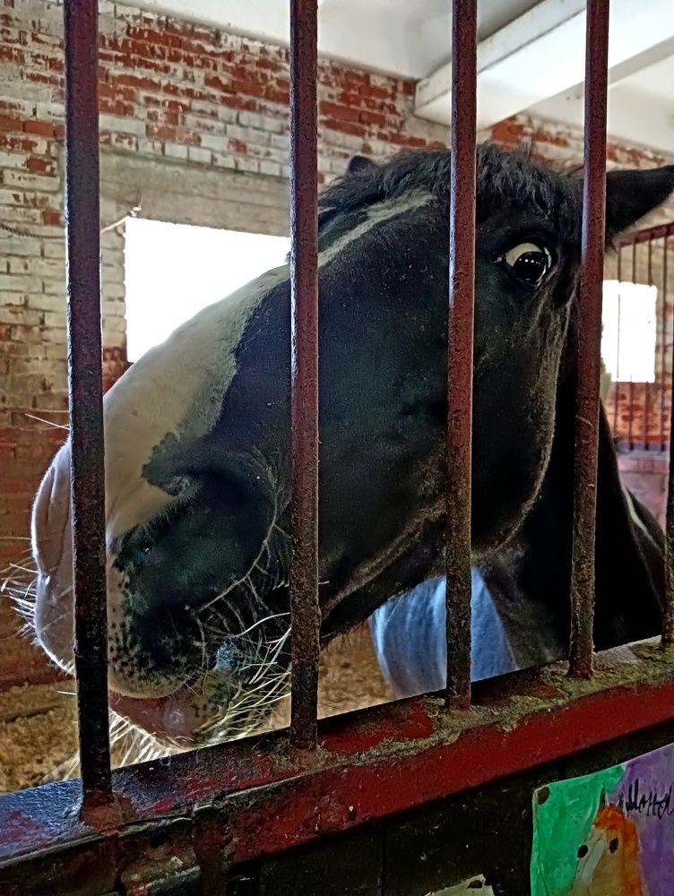 Photograph by Olga Smirnova