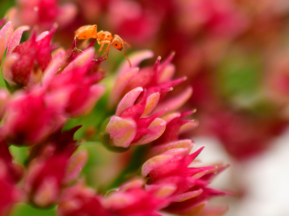 Photograph by Николай Абакумов