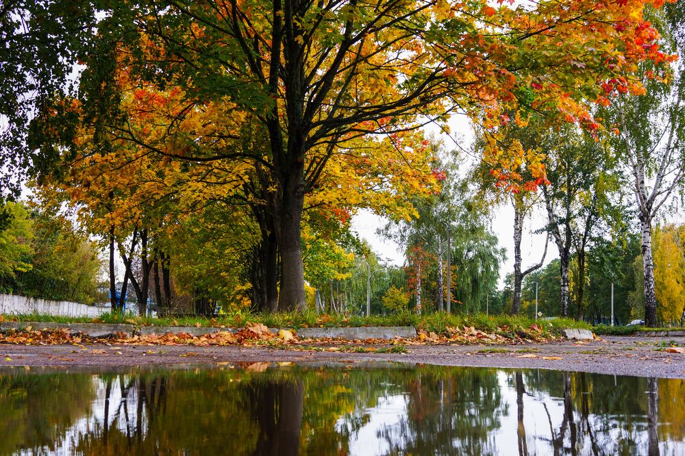 Photograph by Александр Казак