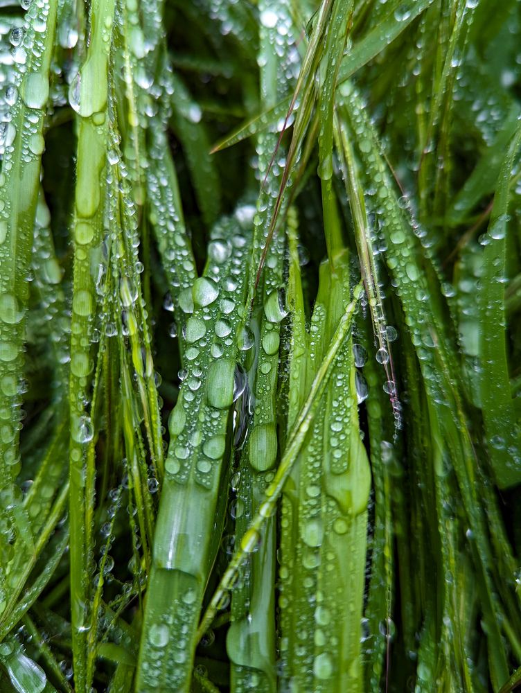 Photograph by Елизавета Коровина