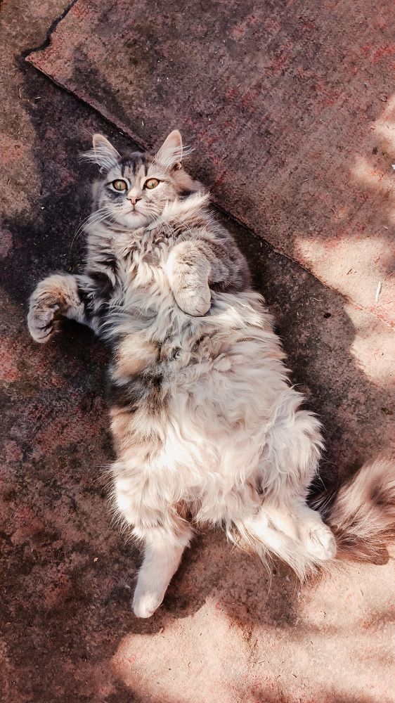 Photograph by Александр Казак