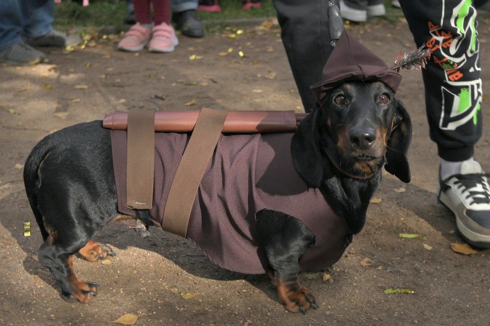 Photograph by Olga Smirnova