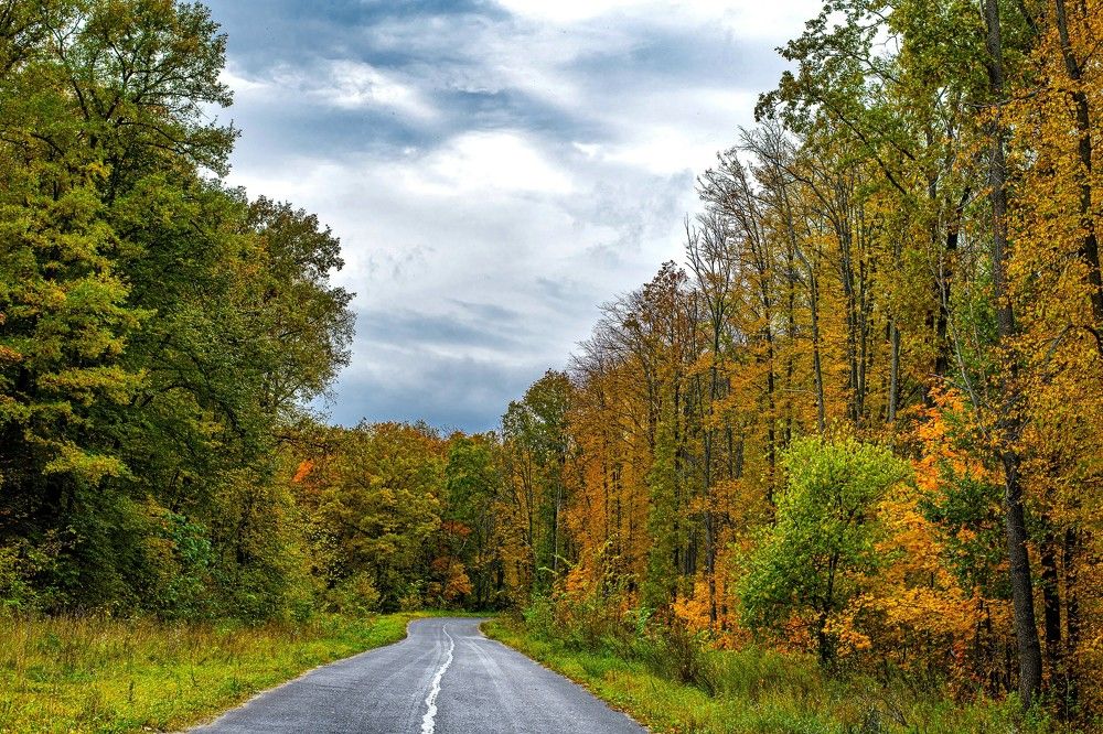 Photograph by Алексей Сиваков