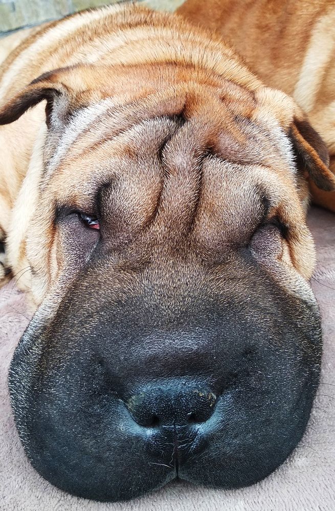 Photograph by Viacheslav Stennikov