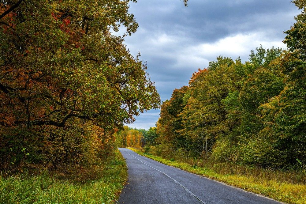 Photograph by Алексей Сиваков